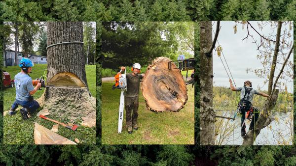 Henckel's Tree Service