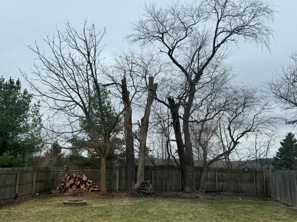 Henckel's Tree Service