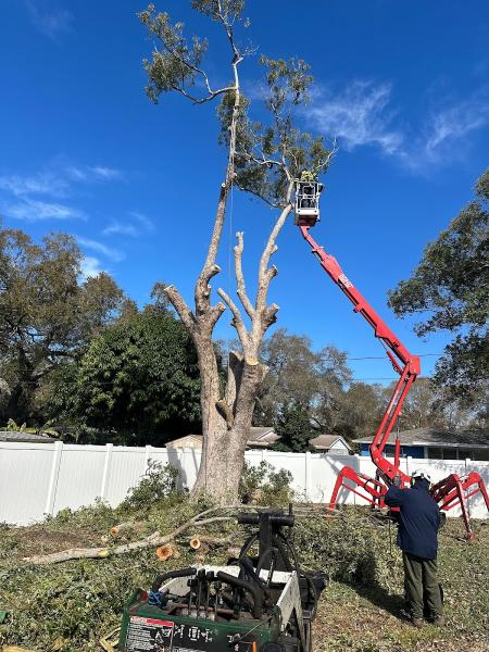B&t's Tree Service