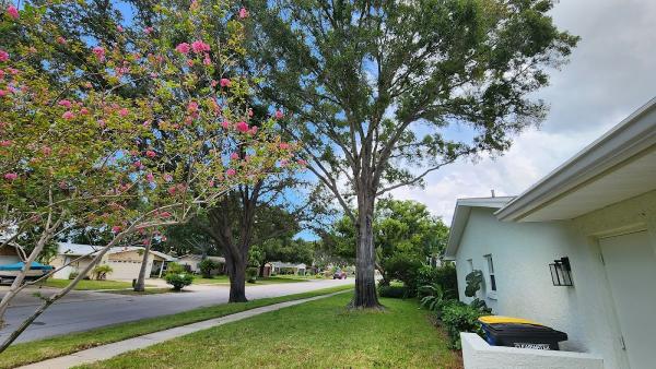 B&t's Tree Service