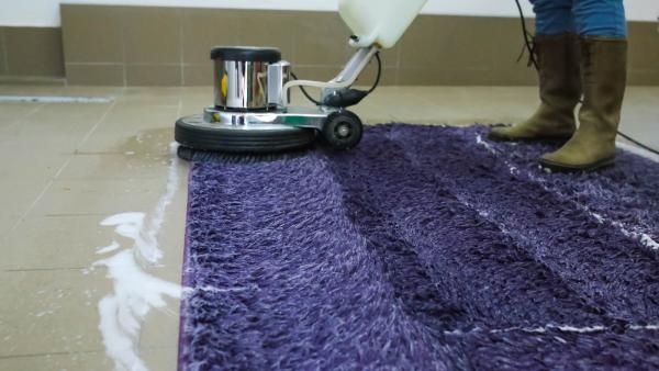 Terrific Carpet Cleaning