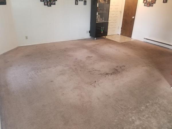 Vactech Carpet and Upholstery Cleaning Services