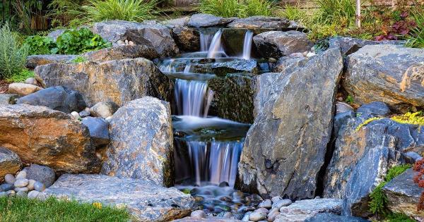 Paradise Ponds and Waterfalls