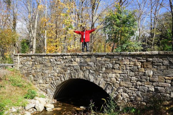 Stonewalls By George