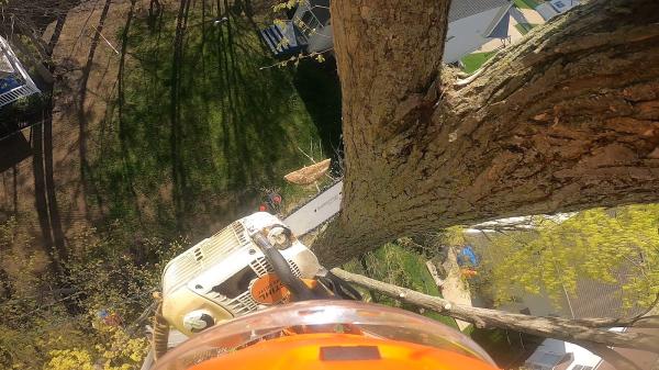 Anytime Tree Service