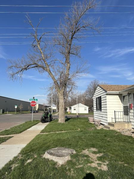 Sioux Empire Tree Service
