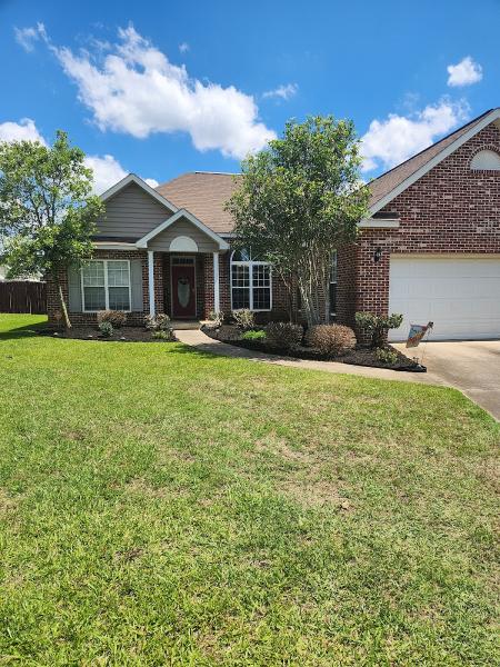 Cruz Tree Solutions and More