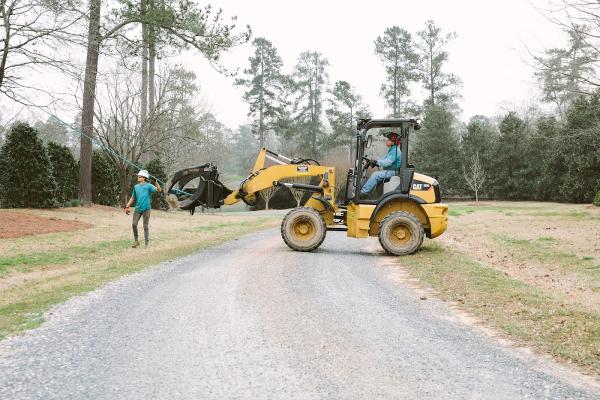 Cruz Tree Solutions and More