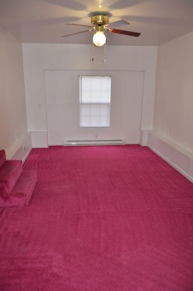 Professional Carpet Care