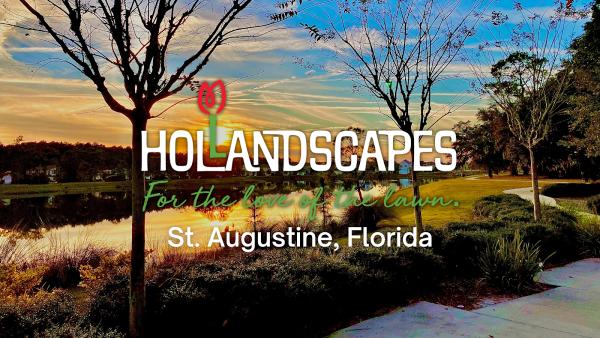 Hollandscapes