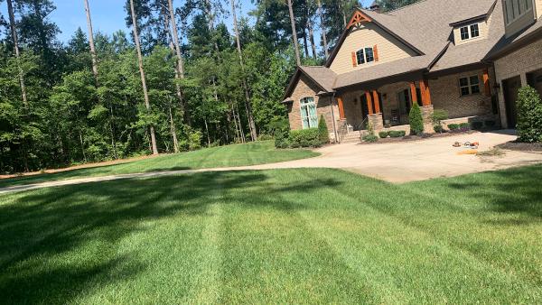 Powell's Lawn Management