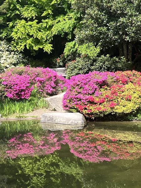 Kubota Garden Landscaping