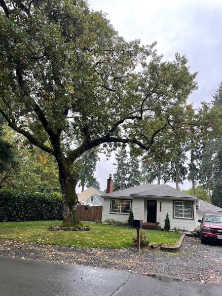 Monkeyman's Tree Service