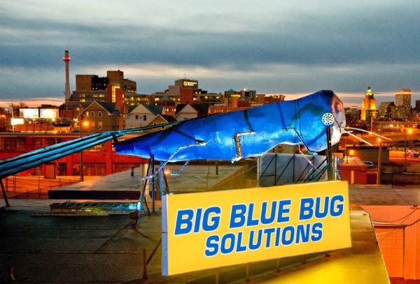 Big Blue Bug Solutions