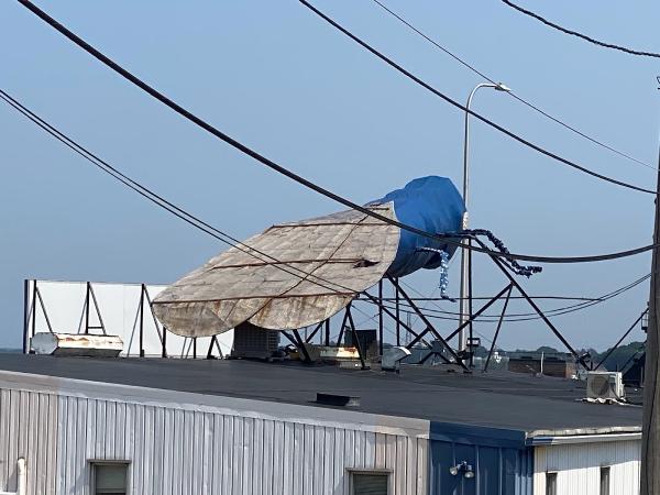 Big Blue Bug Solutions