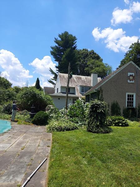 E & S Construction and Landscaping
