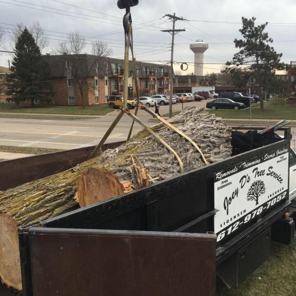 Joey d'S Tree Service LLC