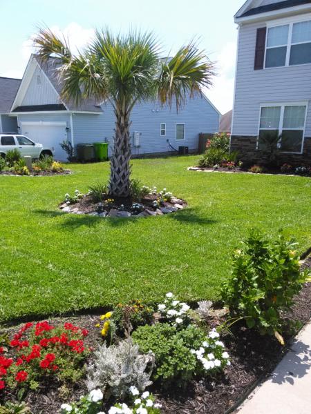 S & P Landscaping