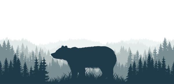 Grizzly Home Systems