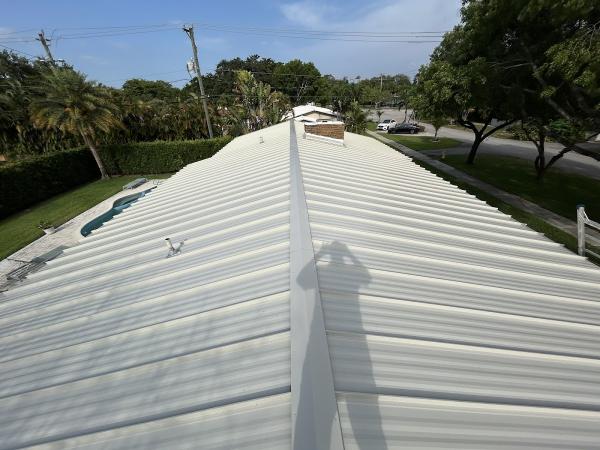 Whale Roofing & Construction