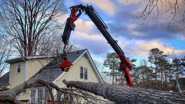 CS Tree Services Inc