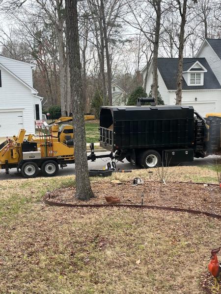 CS Tree Services Inc