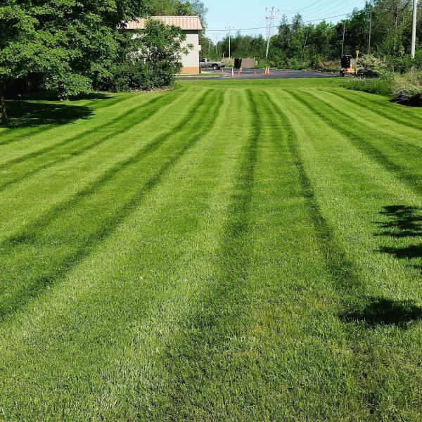 Lawncraft Property Management