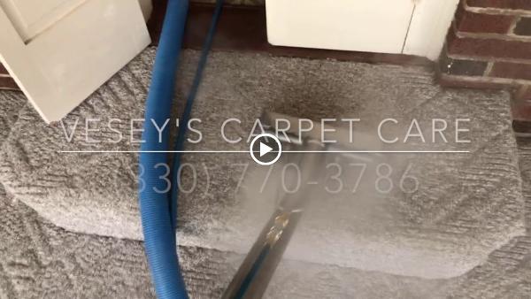 VZ Cleaning Services