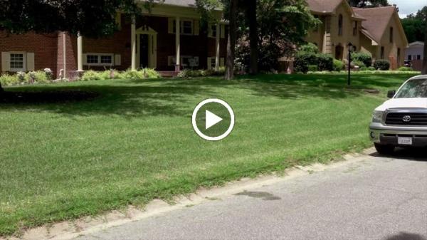 Bust-a-Bug Pest & Crawlspace Solutions