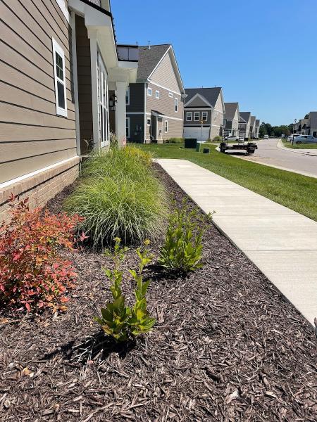 Bust-a-Bug Pest & Crawlspace Solutions