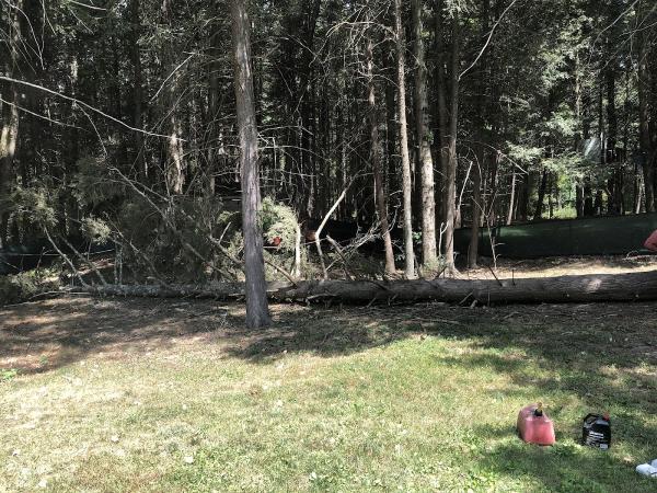 RJS Tree Service