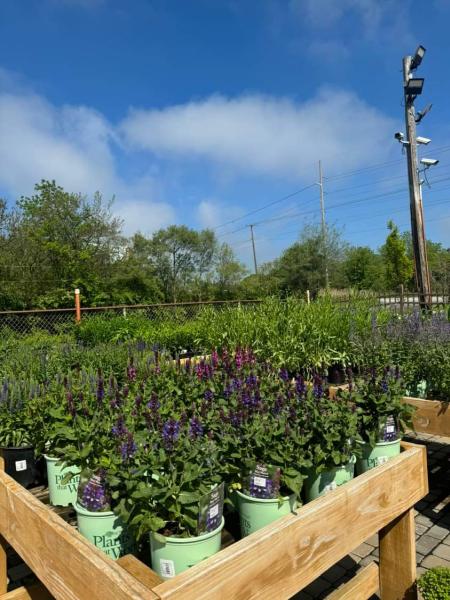 Forever Green Landscape Center