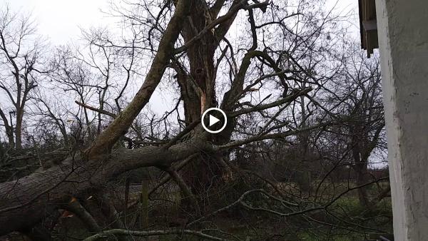 A&D Tree Service LLC