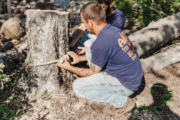 A&D Tree Service LLC