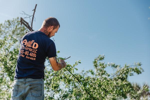 A&D Tree Service LLC