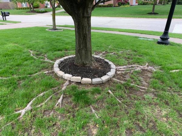 Greenworks Lawn Care