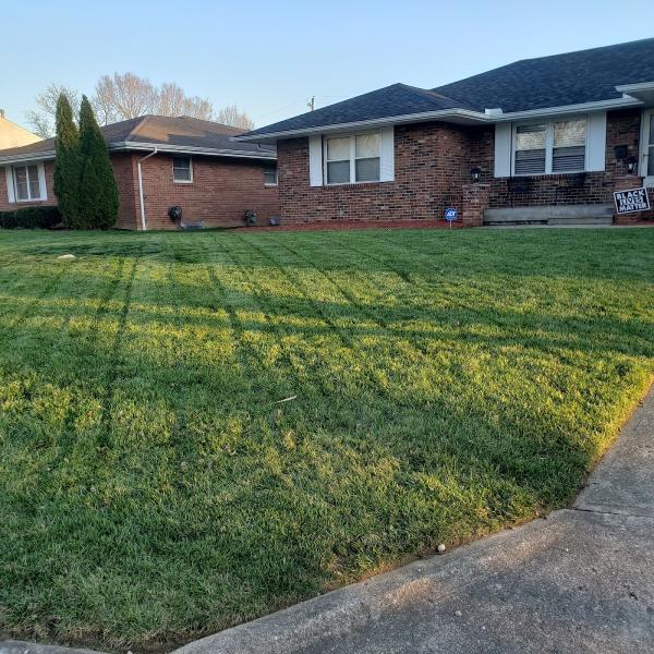Serene Landscapes and Property Maintenance
