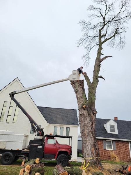 Ellenberger's Maintenance Service Inc