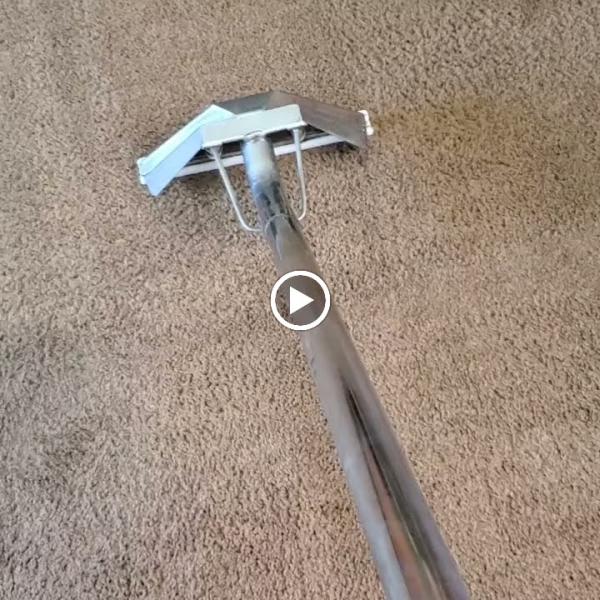 Sterling Carpet and Floor Care