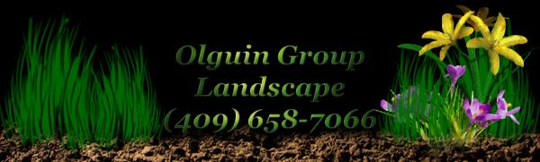Olguin Group Landscaping
