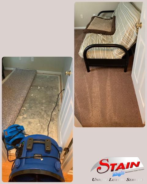 Stain Magic