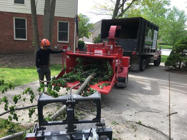 Treemendous Forestry LLC