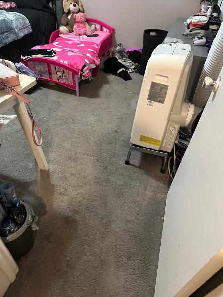 Affordable Cleaning by Calvin