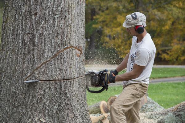 Woodpecker Tree Service Co.