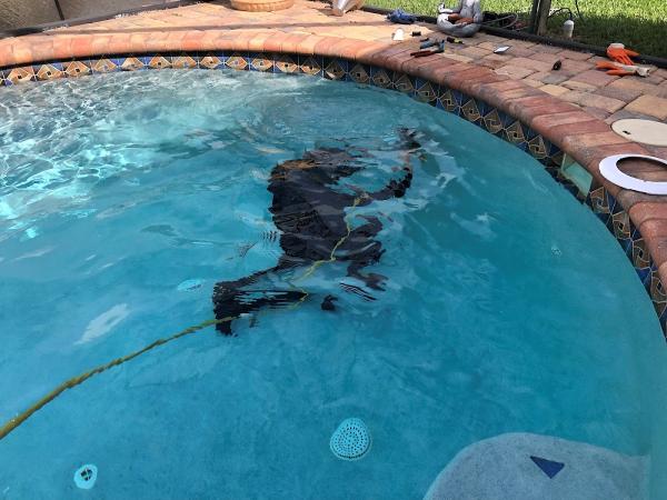 Pool Network