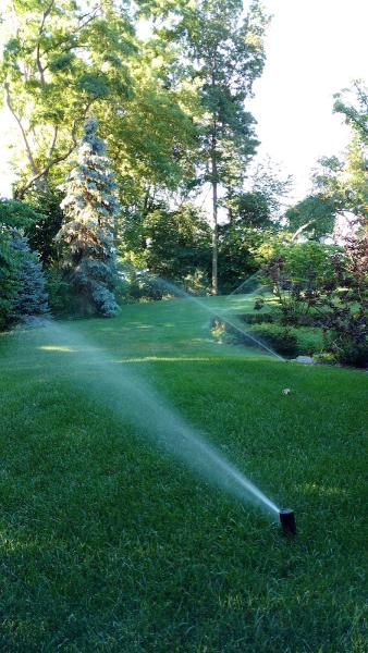 Hometeam Lawn Sprinkler Services