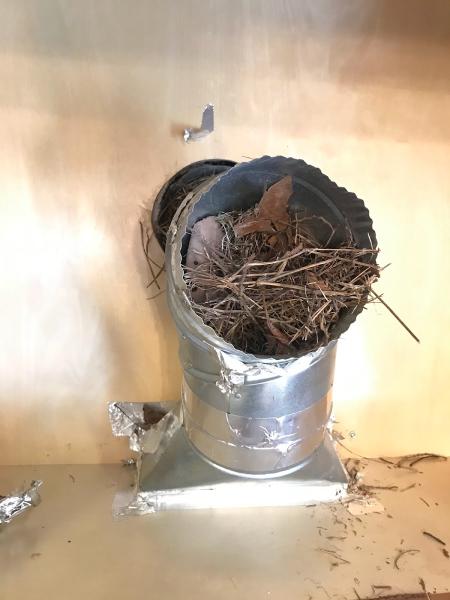 Klean Ventz Dryer Vent Cleaning and Installation