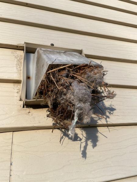 Klean Ventz Dryer Vent Cleaning and Installation