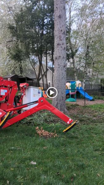 ALX Tree Service