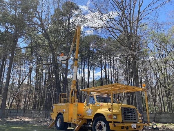 Fonville Tree Service